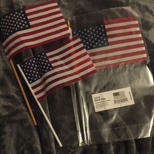 FREE ITEM W/ BUNDLE | Mini American Flags